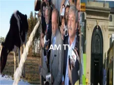 AM TV: Los granos se ven empujados por fundamentos bajistas en CBOT. Día clave de reuniones entre Campo y Gobierno