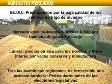 AM TV: Apertura de mercados- La soja con correción bajista. Firmeza para novillos y vacas 