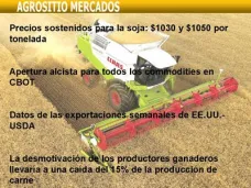 AM TV: Hoy el 