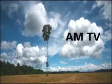 AM TV- La soja pierde más de U$S 2 en CBOT. Se faenaron 8 mill. de cabezas en el 1º semestre de 2009