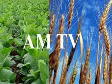 AMTV: 