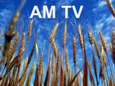 AM TV: 