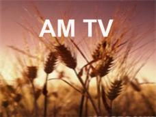 AM TV: Se fortalecen los valores de la soja en el mercado local. El trigo sigue en lista de  espera