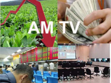 AM TV: Se aguarda una fuerte corrección de los precios de la soja en CBOT. Rindes récord para el maíz 