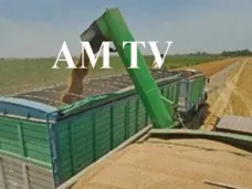 AM TV: 