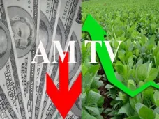 AM TV: 