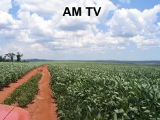 AMTV: 