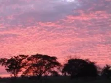 AMTV: 