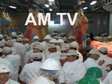 AM TV: 