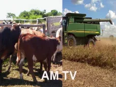 AM TV: 