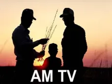 AM TV: 