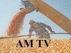 AM TV: 