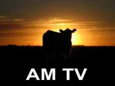 AM TV: 