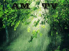 AMTV: 