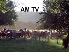 AM TV: 