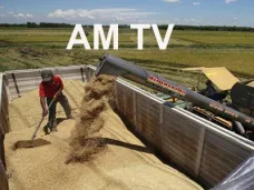 AMTV: 