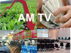 AMTV: 
