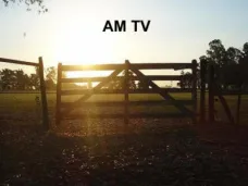 AMTV: 