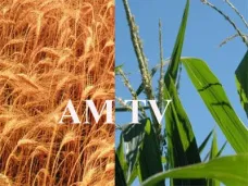 AMTV: 