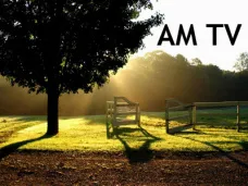 AMTV: 