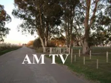 AMTV: 
