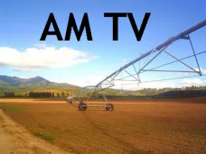 AMTV: 