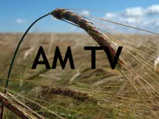 AMTV: 