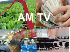 AM TV: 