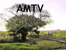 AMTV: 
