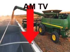 AMTV: 