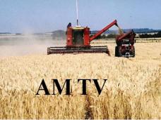 AMTV: 