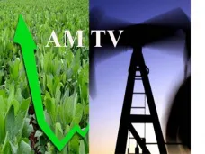 AMTV: 