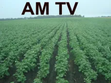 AMTV: 