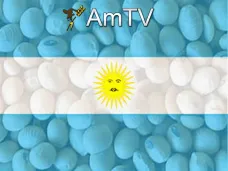 AMTV: 
