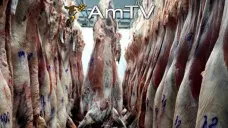 AMTV: Los precios de la soja suben y arrastran al trigo y maíz