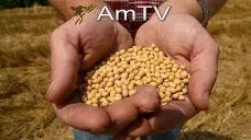 AMTV: Hoy se publicará el reporte mensual de oferta y demanda del USDA 