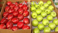 AMTV: Sigue la baja en el mercado y vuelve a enfocarse en los rindes de EEUU