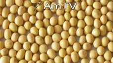 AMTV: Empuje de la harina de soja en el mercado por mayor demanda que lo proyectado