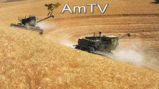 AMTV: Se ven pocas subas en soja a pesar de las últimas bajas por la oferta de harina