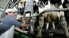 AMTV: Contexto presiona a los granos. USDA publica las exportaciones semanales de EEUU