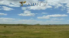 AMTV: Buena demanda externa de granos de EEUU. Leves subas entrando al fin de semana