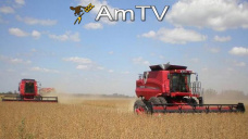 AMTV: El trigo lidera las bajas mientras que el maíz y soja podrían tener resistencia técnica