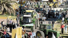 AMTV: Leves variaciones a la espera que el USDA baje el estado de cultivos en EEUU 