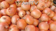 AMTV: La soja retoma la baja. Datos de rinde de maíz según el Profarmer