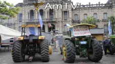 AMTV: Hoy se publica el Reporte del USDA. Los analistas esperan bajas de rinde de maíz y soja