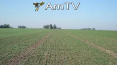 AMTV: Pocas noticias relevantes en el mercado. El clima promueve el avance de cosecha