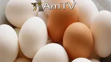 AMTV: Los futuros logran operar de forma positiva. Baja el área nacional sojera 
