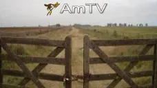 AMTV: Mejora el clima sudaméricano. Terminó la cosecha de soja en EEUU