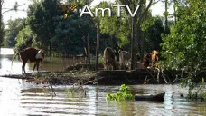 AMTV: Soja retornó a terreno negativo. Estiman récord de cosecha en Brasil