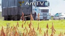 AMTV: La soja lidera las subas. Temperaturas adecuadas para siembra de gruesa en EEUU